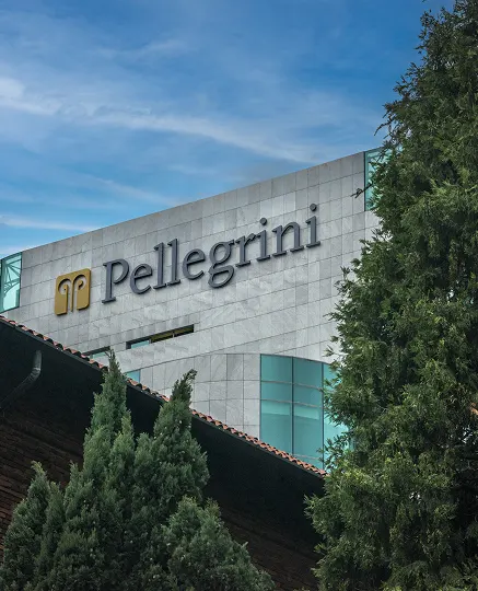 Immagine entrare in Pellegrini